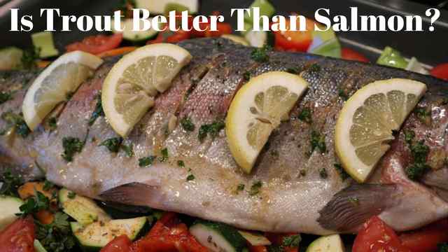 Is Trout Better Than Salmon?
