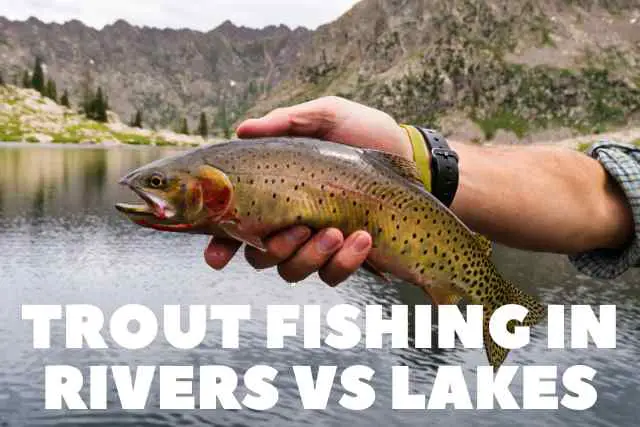 Trout Fishing in Rivers vs. Lakes: Which Is Better?