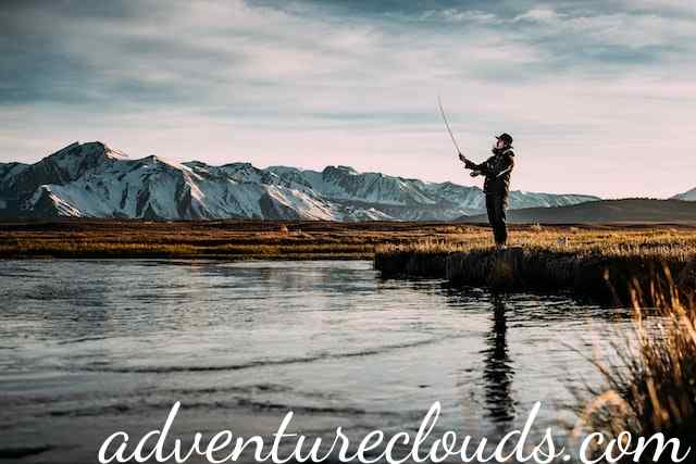 Why Is Trout Fishing So Popular In The World?